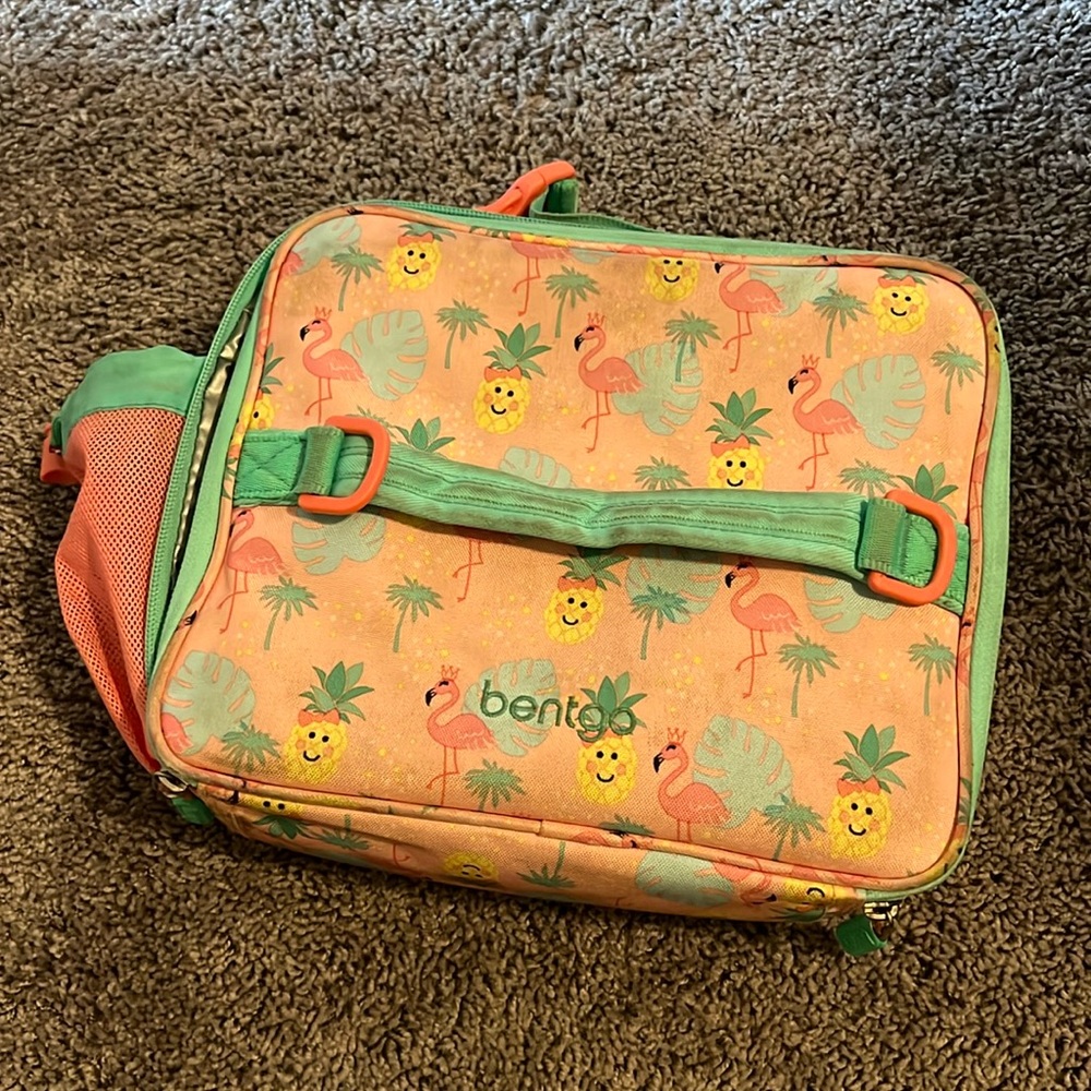 Bentgo lunchbox